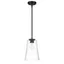 Ingo 12'' Matte Black Modern Pendant with Clear Ripple Glass