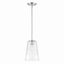 Urban Chic Polished Nickel & Clear Glass 12'' Pendant Light