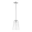 Urban Chic Polished Nickel & Clear Glass 12'' Pendant Light