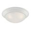 Tap Collection 14" Brushed Nickel 2-Light Indoor/Outdoor Flush Mount