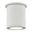 Lamar Sleek White Aluminum LED Indoor/Outdoor Flush Mount