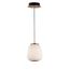 Soji Contemporary Globe LED Pendant in Black and Gold with Satin White Shade