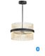 Eclipse Black and Satin Brass LED Pendant with Adjustable Color Temperature