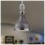 Transitional Mini 1-Light Pendant in Polished Nickel & Weathered Zinc