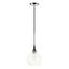 Ida 9.5" Polished Nickel and Clear Glass Pendant Light