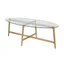 Elliptical Brass and Glass X-Base Coffee Table