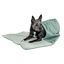 Celadon Green Small Velvet Reversible Pet Blanket