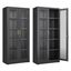 Black Metal Curio Cabinet with Glass Doors and Adjustable Shelves