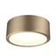 Modern Matte Brass 11" LED Flush Mount with Frosted Glass Shade