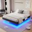 Black Queen Floating Bed Frame with LED Lights and Metal Slats