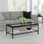 Alexis 45" Blackened Bronze Rectangular Glass Coffee Table