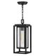 Transitional Black Nickel LED Outdoor Pendant with Clear Seedy Glass