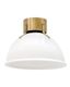 Heritage Brass and Opal Glass Dome Flush Mount Light