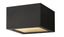 Satin Black Glass LED Modern Outdoor Flush Mount