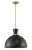 Satin Black and Brass LED Dome Pendant Light