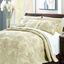 Light Green Microfiber Reversible Queen Bedspread Set