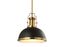 Homer Vintage Black and Brass Gold Iron LED Pendant Light