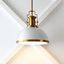 Homer 13" Brass Gold and White LED Dome Pendant Light