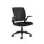 Pinstripe Black Mesh Armless Swivel Task Chair