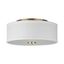 Satin Brass and White Drum Flush Mount Light