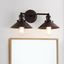 July 17.5" Bronze Metal 2-Light Vanity Light