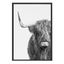 Gray Highland Cow Canvas Print with Polystyrene Frame