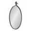 Bronze Oval Industrial Wall Mirror with Gold Accents, 20 x 34