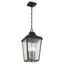 Forestdale Black 4-Light Outdoor Hanging Pendant with Seeded Glass