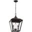 Dame Anvil Iron 2-Light Indoor/Outdoor Taper Candle Pendant