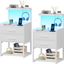 White LED Nightstand with Charging Station and Storage Shelves