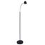 Tiara Arc Adjustable LED Floor Lamp in Black and Antique Brass