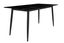 Zayle 55" Black and Gold Glass Dining Table with Steel Base