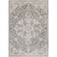 Gray Synthetic Vintage Medallion Area Rug 2' x 2'11"