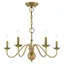 Elegant Antique Brass 5-Light Taper Candle Chandelier