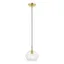 Elegant Mini Pendant Light with Clear Glass and Dual Brass Finish