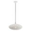 White Brushed Nickel Crystal LED Globe Pendant Light