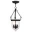 Elegant Seeded Glass 3-Light Pendant Chandelier in Black