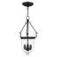 Elegant Seeded Glass 3-Light Pendant Chandelier in Black