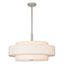 Meridian Brushed Nickel 5-Light Indoor/Outdoor Drum Pendant