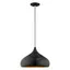 Shiny Black and Gold Mini Pendant Light