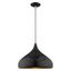 Shiny Black and Gold Mini Pendant Light