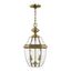 Antique Brass 2-Light Pendant with Clear Beveled Glass