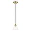 Transitional Hand-Blown Clear Glass Pendant in Antique Brass