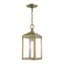 Antique Brass Clear Glass Outdoor Pendant Lantern