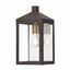 Nyack Bronze Finish Clear Glass Dimmable Outdoor Wall Lantern