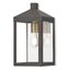 Nyack Bronze Finish Clear Glass Dimmable Outdoor Wall Lantern