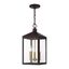 Nyack Bronze and Brass 3-Light Outdoor Pendant Lantern