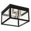 Nyack Square Black Outdoor Ceiling Mount with Clear Glass