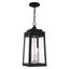 Oslo Black 3-Light Indoor/Outdoor Pendant with Clear Glass