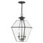 Charcoal Brushed Nickel 3-Light Outdoor Island Pendant with Clear Beveled Glass